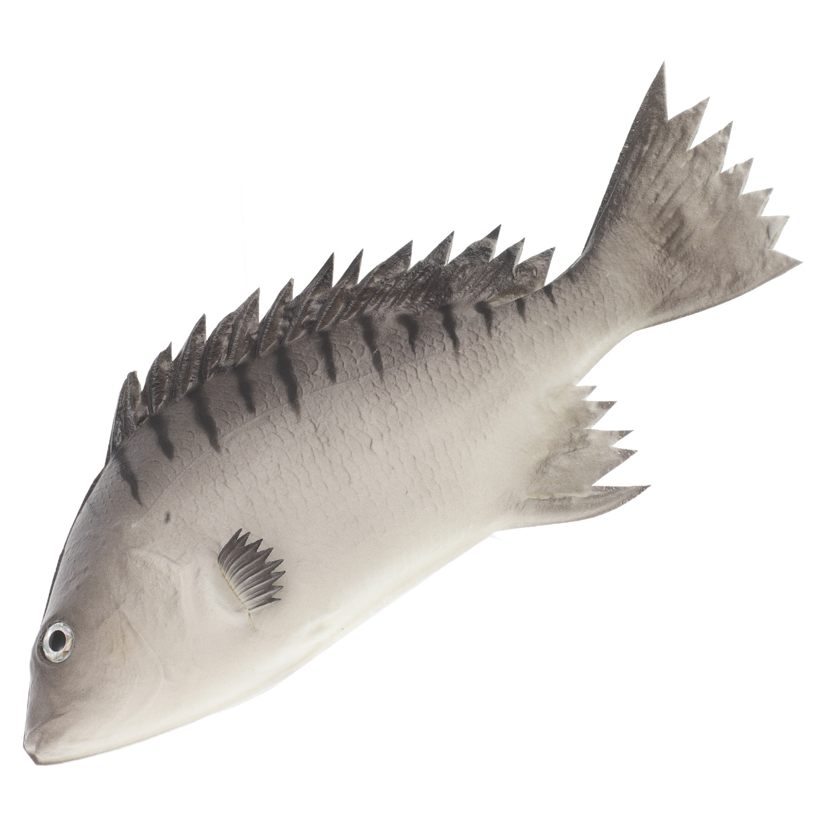 Realistic Simulation Fish Deco - Home Office Simulator ulasan dan harga