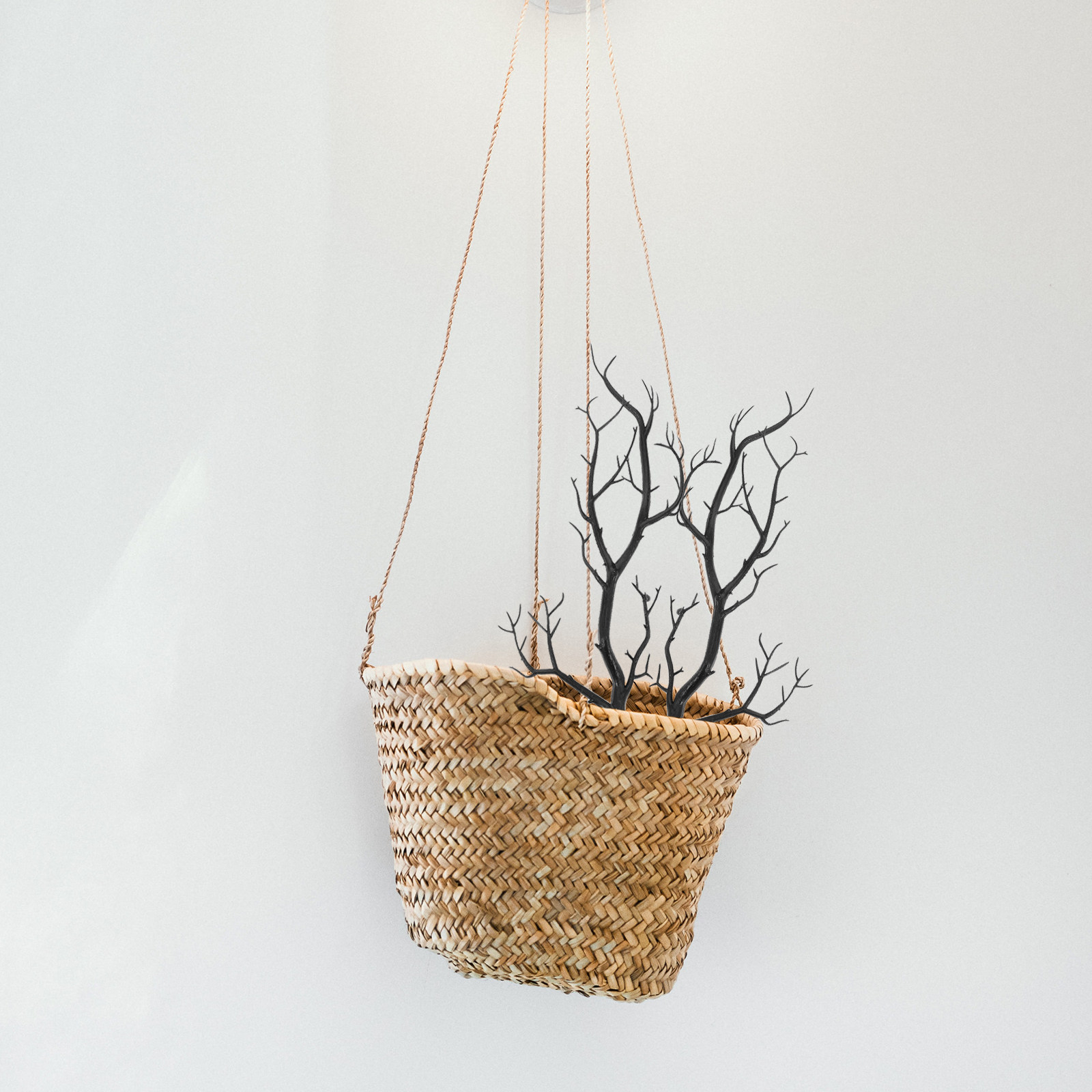 6Pcs Dried Tree Branches Simul - Home Office Simulator ulasan dan harga