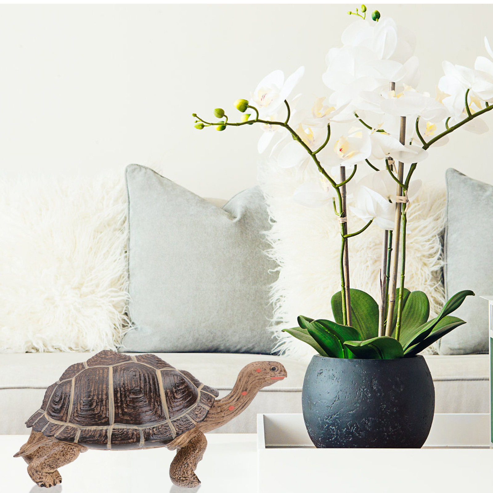 Creative Tortoise Ornament Exq - Home Office Simulator ulasan dan harga